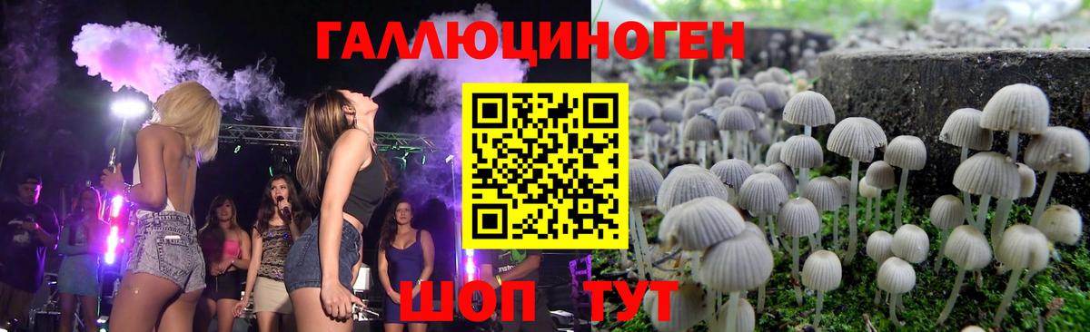 Псилоцибиновые грибы MAGIC MUSHROOMS  Вход с VPN  Ачинск 
